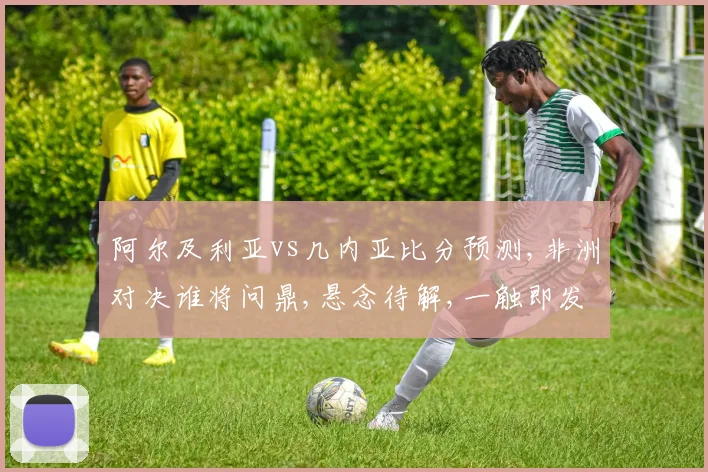 阿尔及利亚vs几内亚比分预测,非洲对决谁将问鼎,悬念待解,一触即发