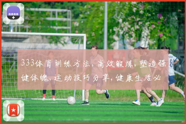 333体育训练方法,高效锻炼,塑造强健体魄,运动技巧分享,健康生活必备