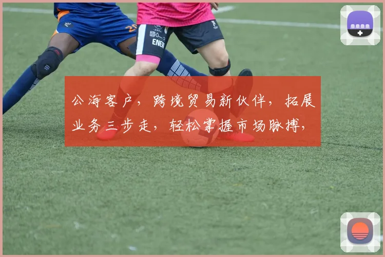 公海客户，跨境贸易新伙伴，拓展业务三步走，轻松掌握市场脉搏，洞察商机