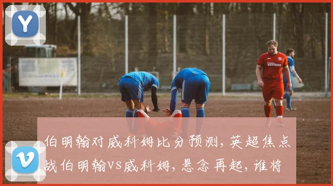 伯明翰对威科姆比分预测,英超焦点战伯明翰vs威科姆,悬念再起,谁将笑到最后