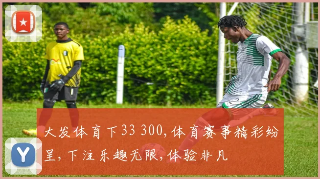 大发体育下33 300,体育赛事精彩纷呈,下注乐趣无限,体验非凡